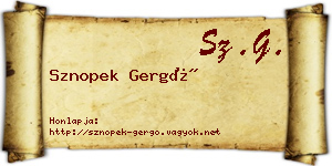 Sznopek Gergő névjegykártya